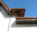Zdjęcie z galerii